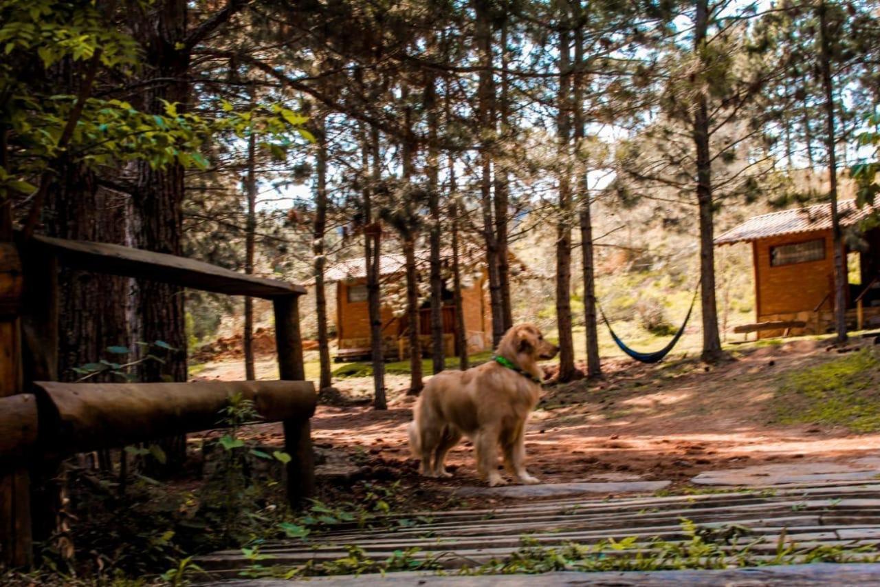 Chales Sitio Do Tanque Conceicao da Ibitipoca Luaran gambar